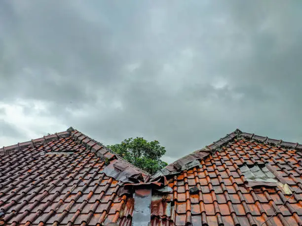 Roof Leak Repair Near Me: What Insurance Actually Covers