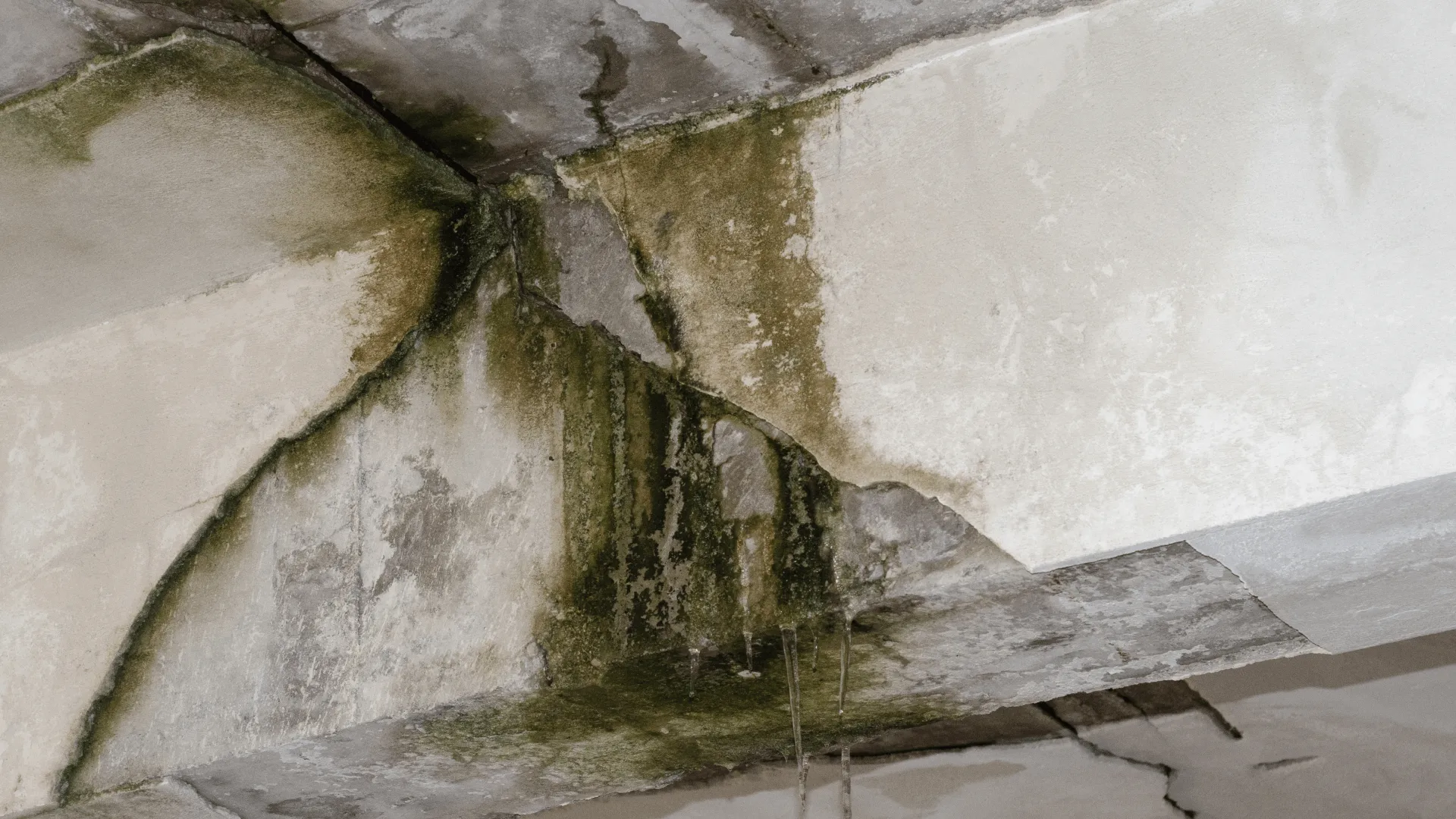 How to Spot Hidden Water Damage Before It Ruins Your Drywall