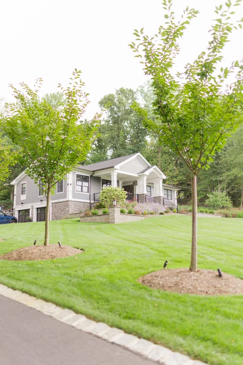 Is Professional Lawn Care Worth It for Homes in Jackson, NJ?