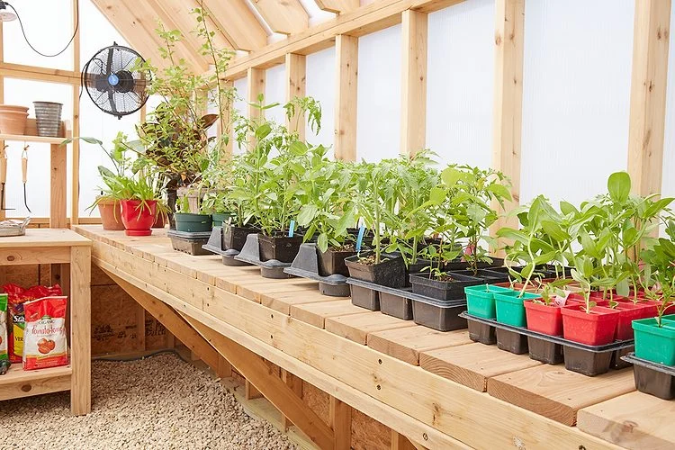 Indoor Gardening Station Ideas for Seed Starting and Plant Care